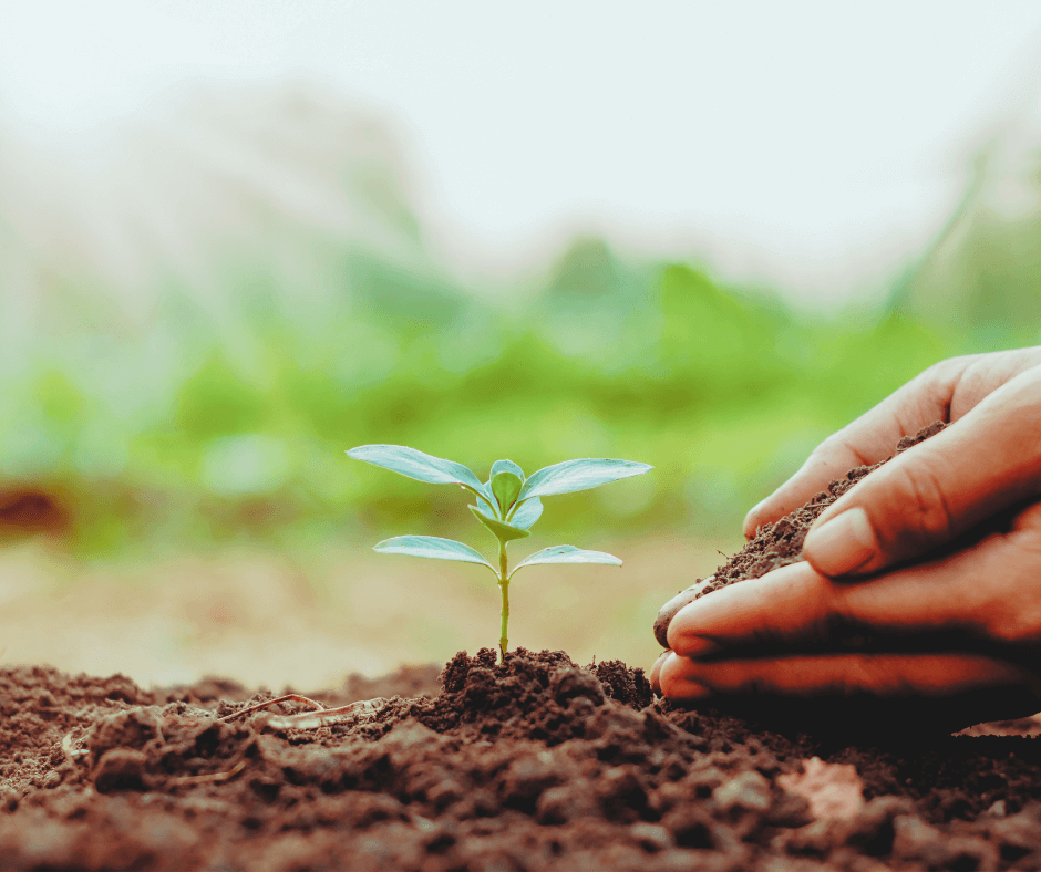 「愛の光の珠」を伝授された日。Vol 2