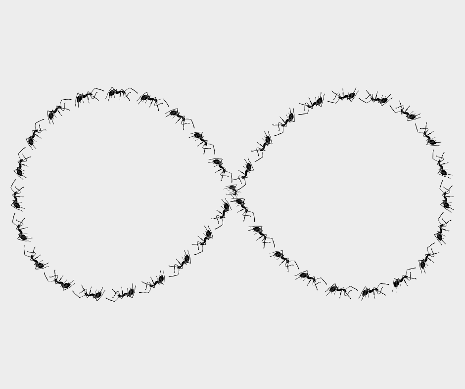 【有料：ワインコイン】「蟻」が出る意味。